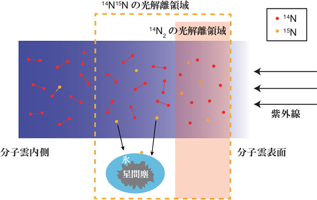 窒素同位体の存在比異常を引き起こすメカニズムの概念図