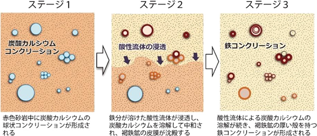 球状コンクリーションの形成メカニズムの概念図