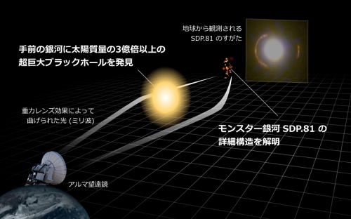 本研究成果の模式図