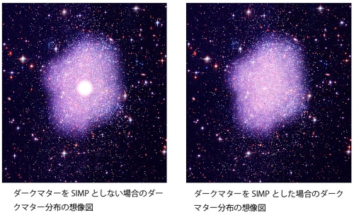 ダークマターの候補を変えたシミュレーション