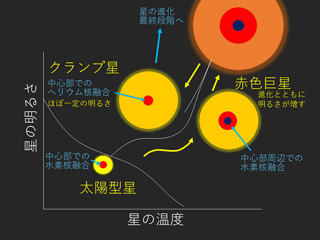 恒星の進化と内部構造の概念図