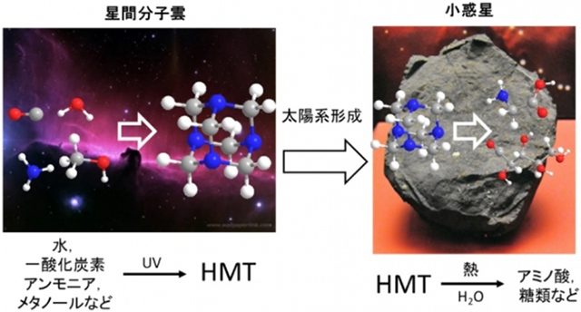 HMTに関わる化学反応