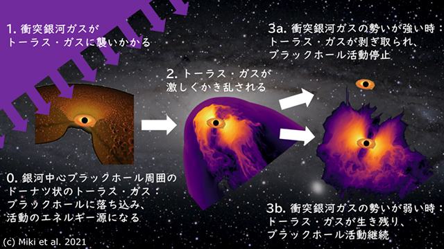 銀河衝突が中心ブラックホール活動に与える影響