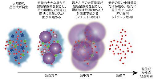 星生成銀河からマエストロ銀河を経てパッシブ銀河へ進化する様子