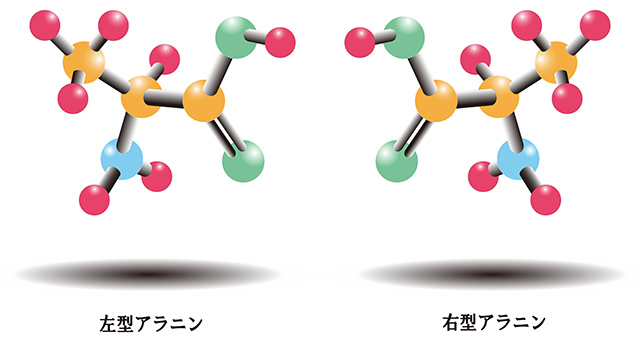 アミノ酸の構造と鏡像異性体