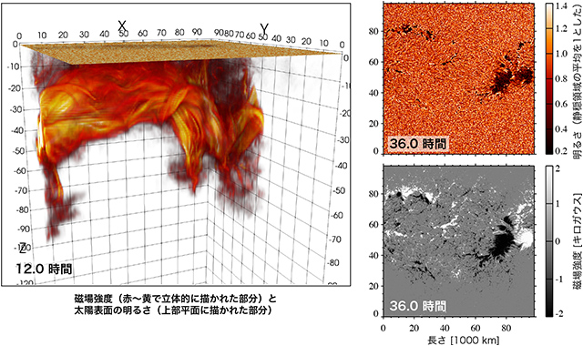 ねじれゼロの磁束管による黒点形成の様子と磁場強度と太陽表面の明るさ