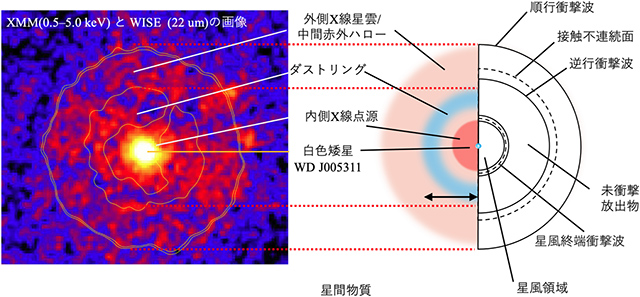 超新星残骸の構造