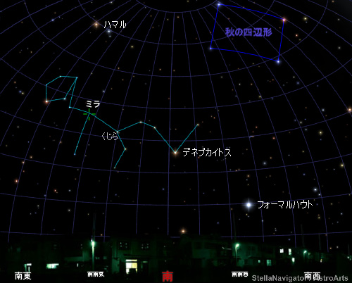 11月～12月の宵の空に見えるくじら座