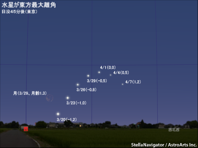 3月下旬から4月上旬の見え方