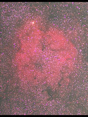 IC1396