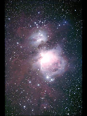 M42դΥ