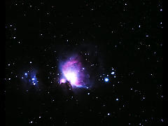 M42