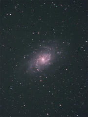 M33