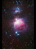 M42դμ̿