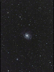 M101