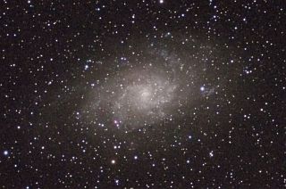 M33β