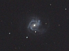 M61μ̿